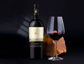 寧夏丹麓酒莊紅酒產(chǎn)品開(kāi)發(fā)