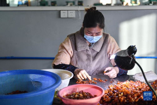 新華全媒 丨走進海南自貿港 樣板間 洋浦保稅港區